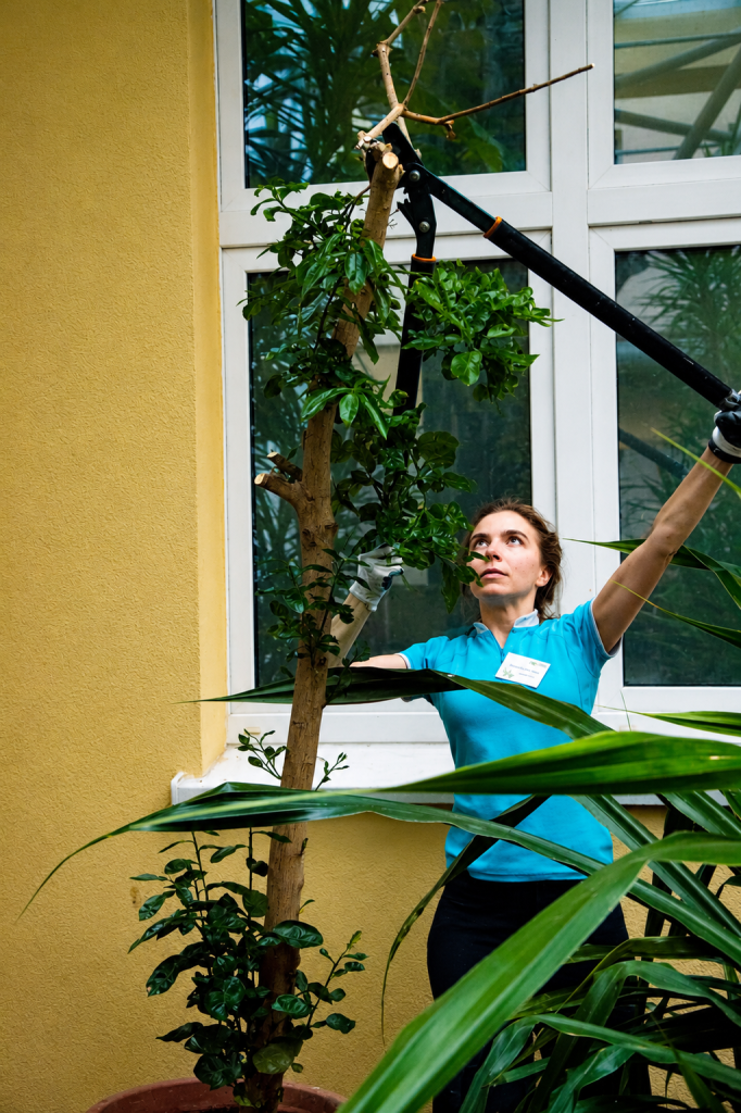 Marianna Ferduła podczas prac ogrodniczych