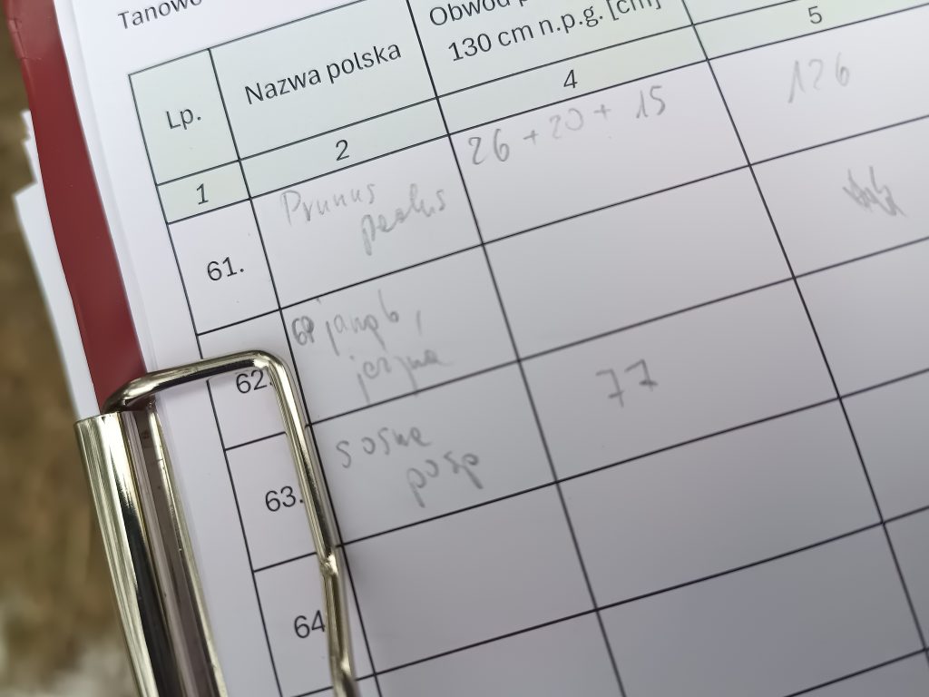 Formularz pomiarowy wypełniany w terenie